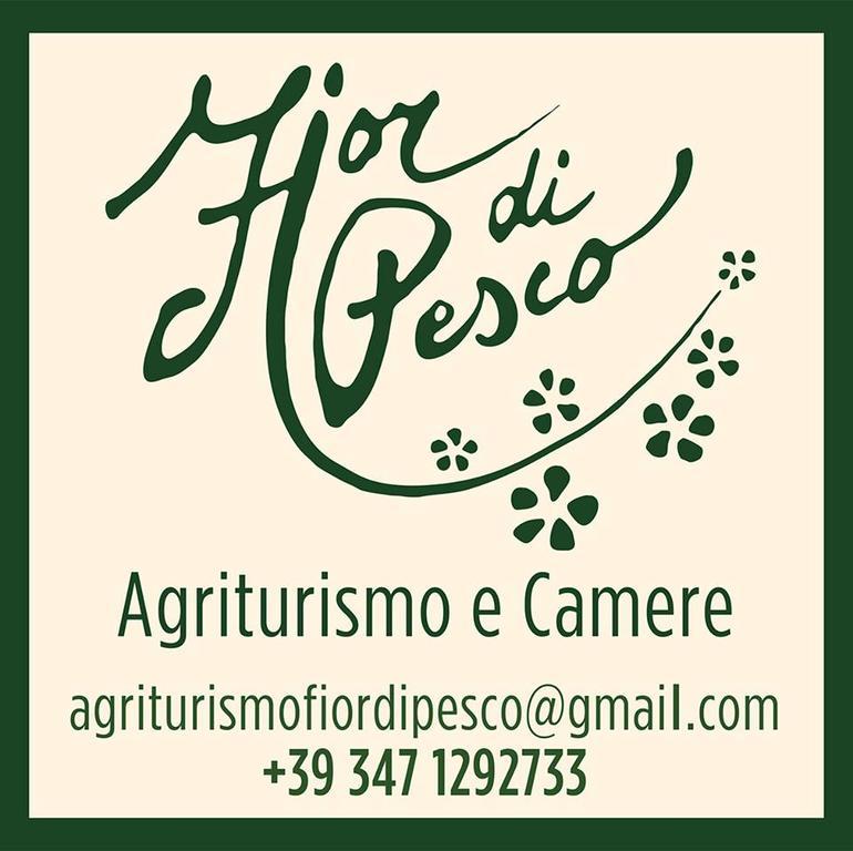 Agriturismo Fior Di Pesco Hotel Sommacampagna Kültér fotó